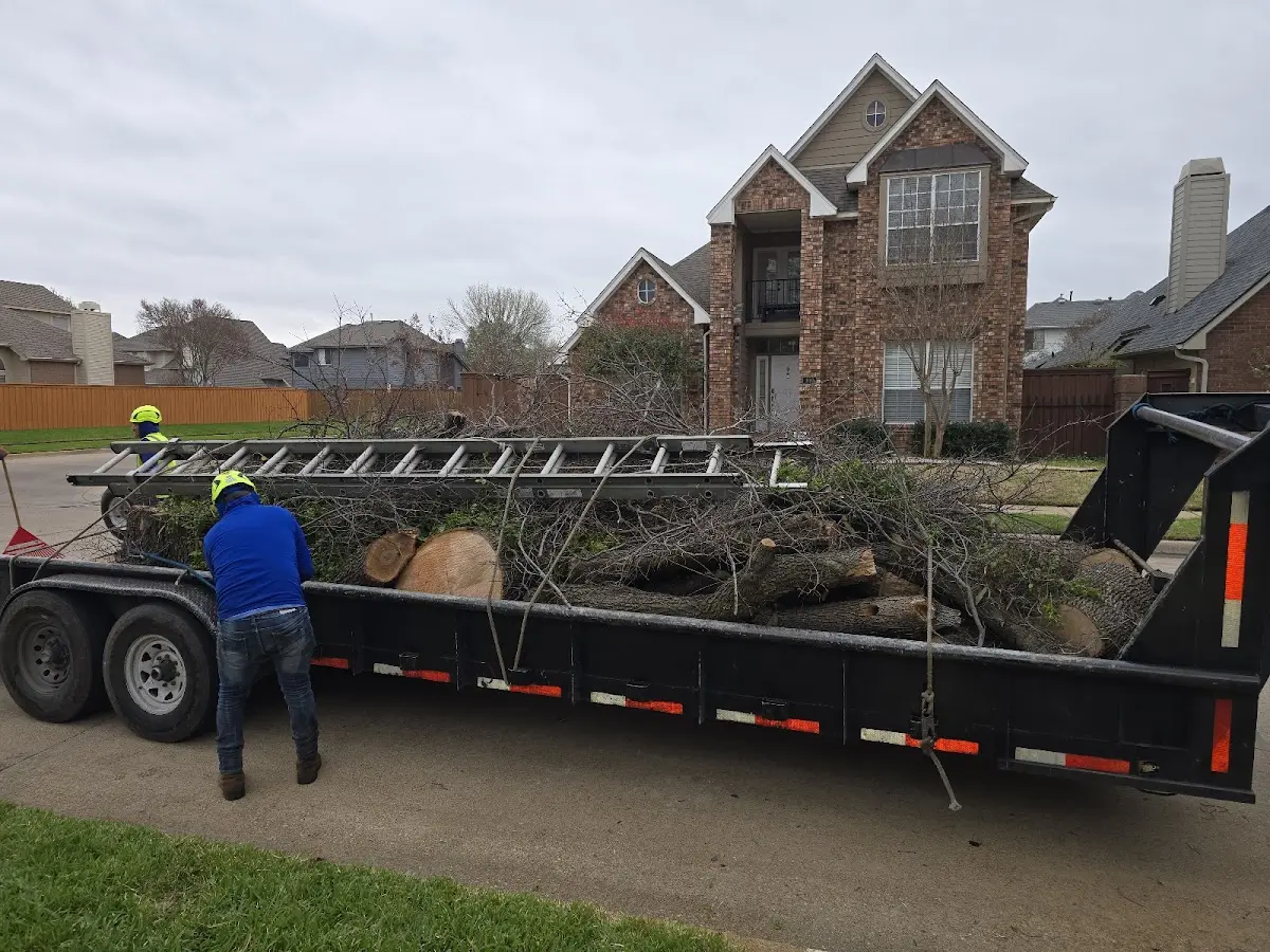 Expert Tree Removal with proper safety equipment in Oakham